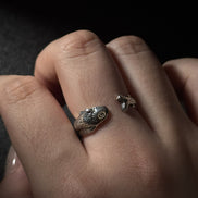Fish Ring