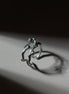 Deadwood Ring